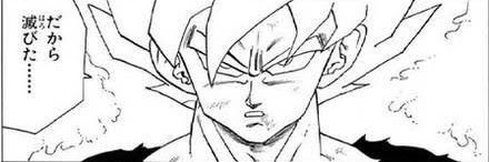 しゃけごはん banner