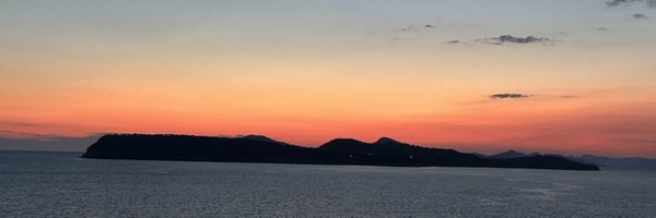 _apocaloptimist Profile Banner