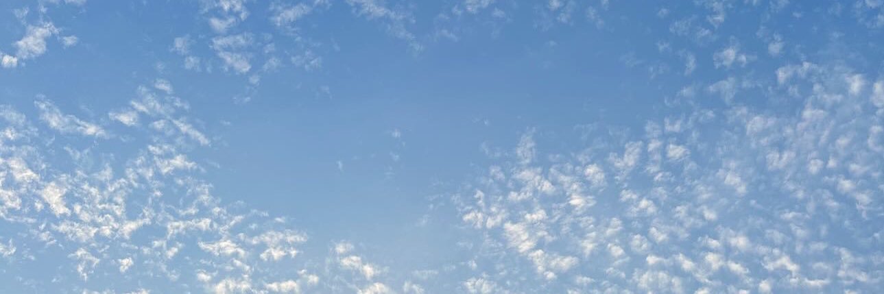 Callmee banner