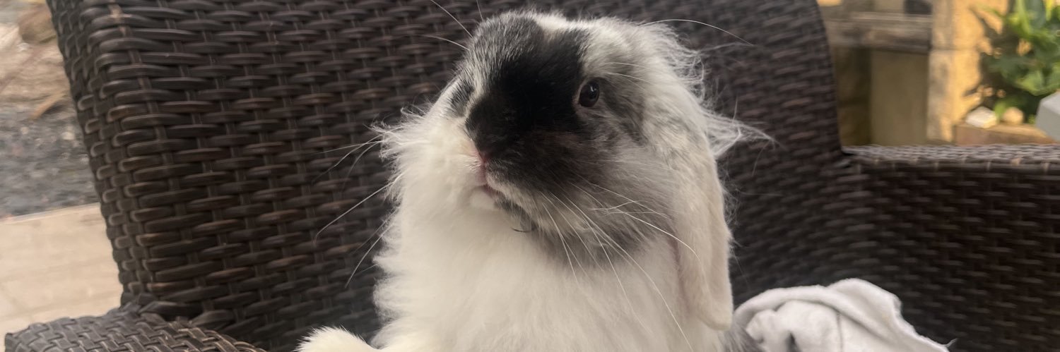 e2teh's profile banner image