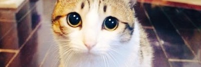 RRPantheon's profile banner image