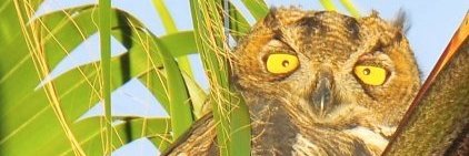 barboyer's profile banner image