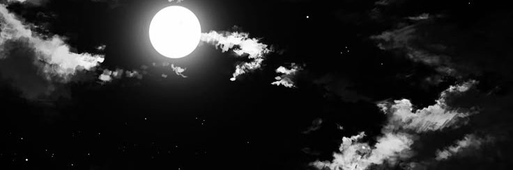 kozzyfnbr banner