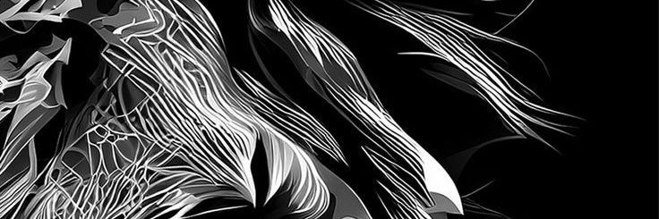 Styches_NY's profile banner image