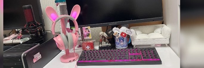 DBD_lopeared's profile banner image