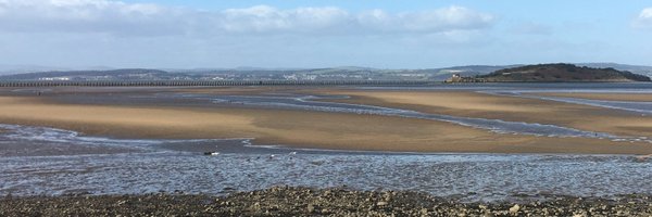 ScottishPeriop Profile Banner