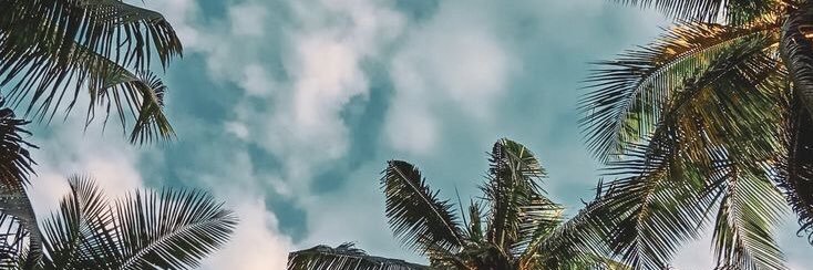 melicaldep's profile banner image