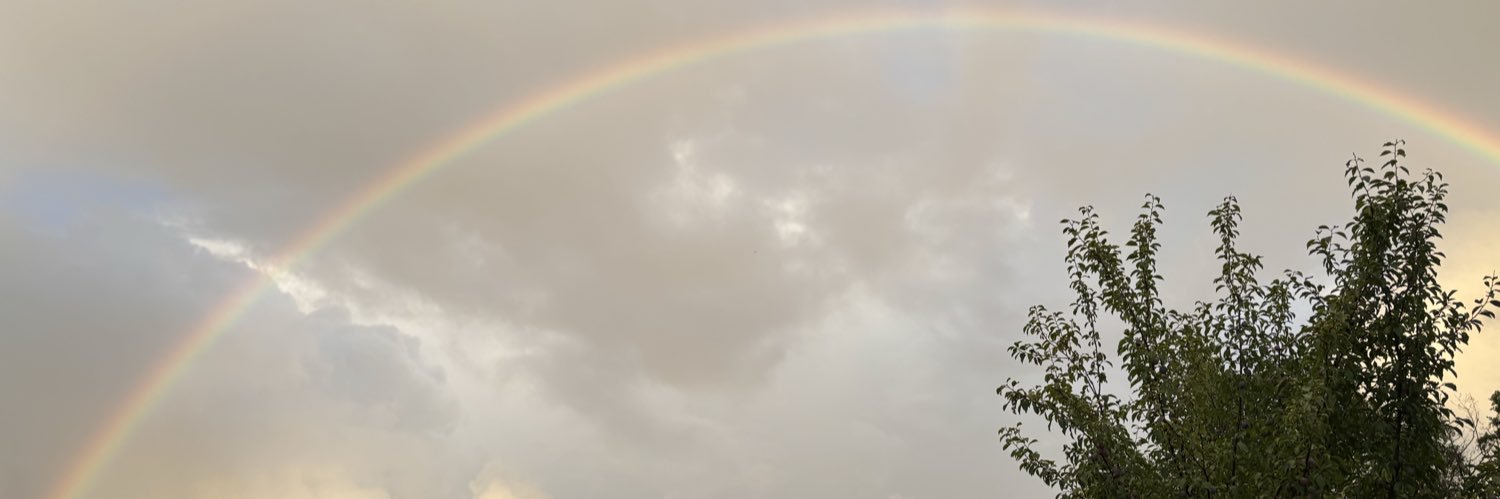 Sebastian Schley 🇪🇺☮️🏳️‍🌈 banner