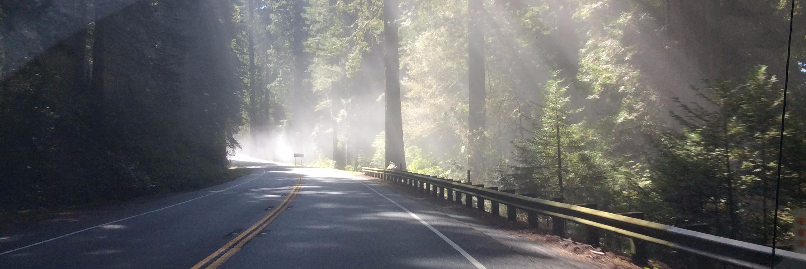 Lorrie Burnham banner