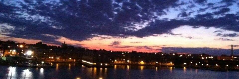 David Bernstein banner