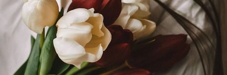 مريم جوزيف وولف banner