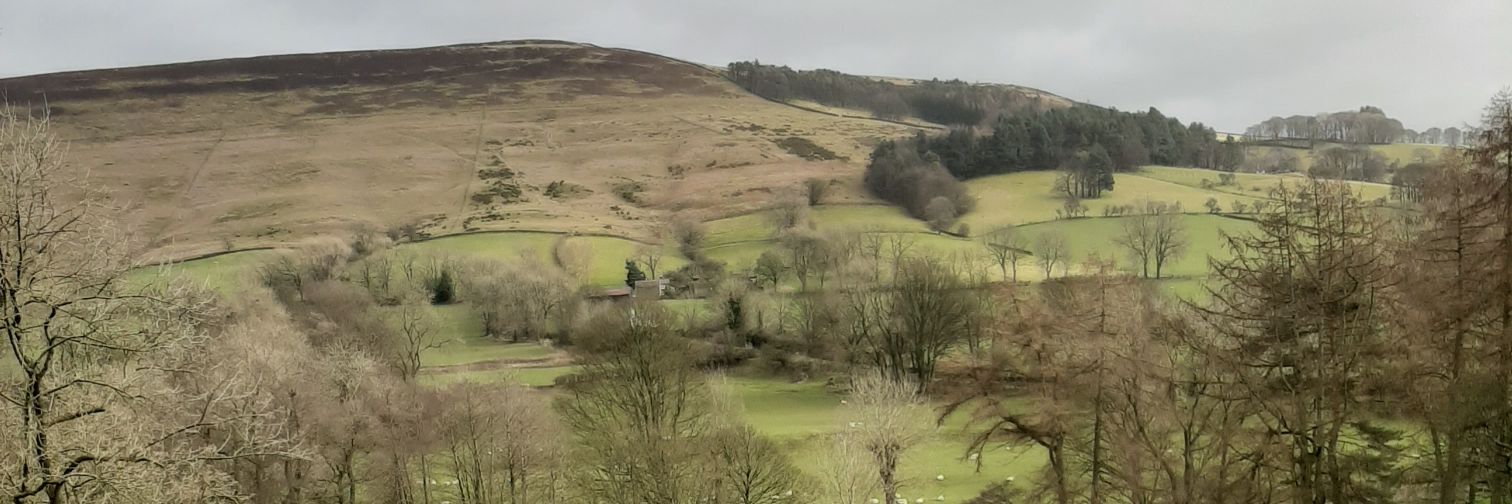 AlisonJ_Pearce's profile banner image