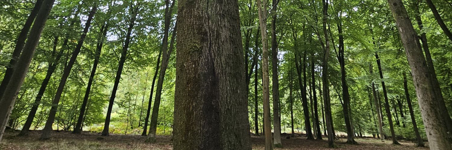 JoshAJClowes's profile banner image