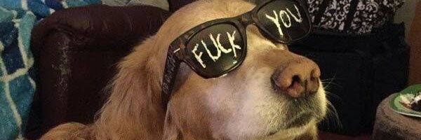 dafuck's profile banner image