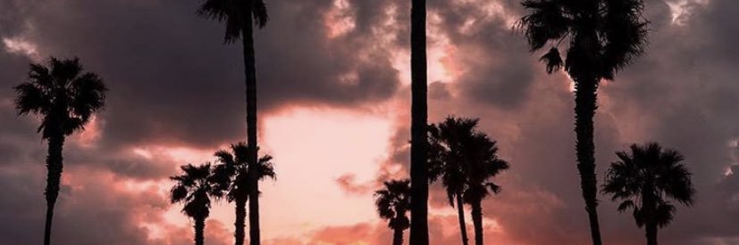 BronxBully031's profile banner image