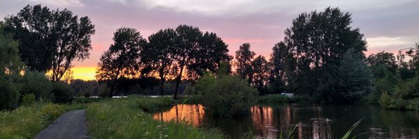 reui_io Profile Banner