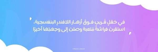 Manal_Adeell Profile Banner