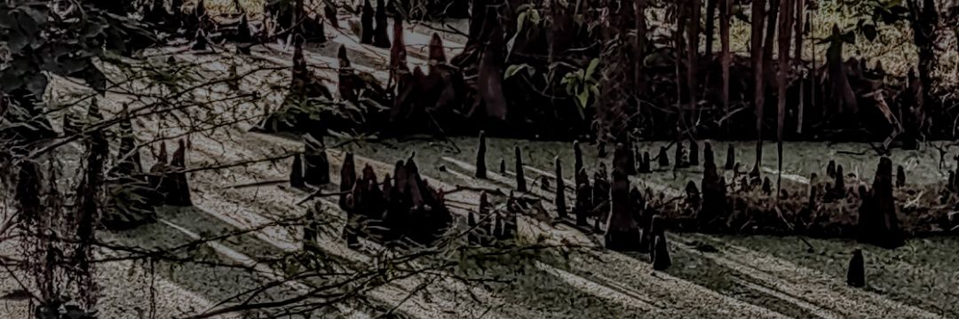 cypress's banner
