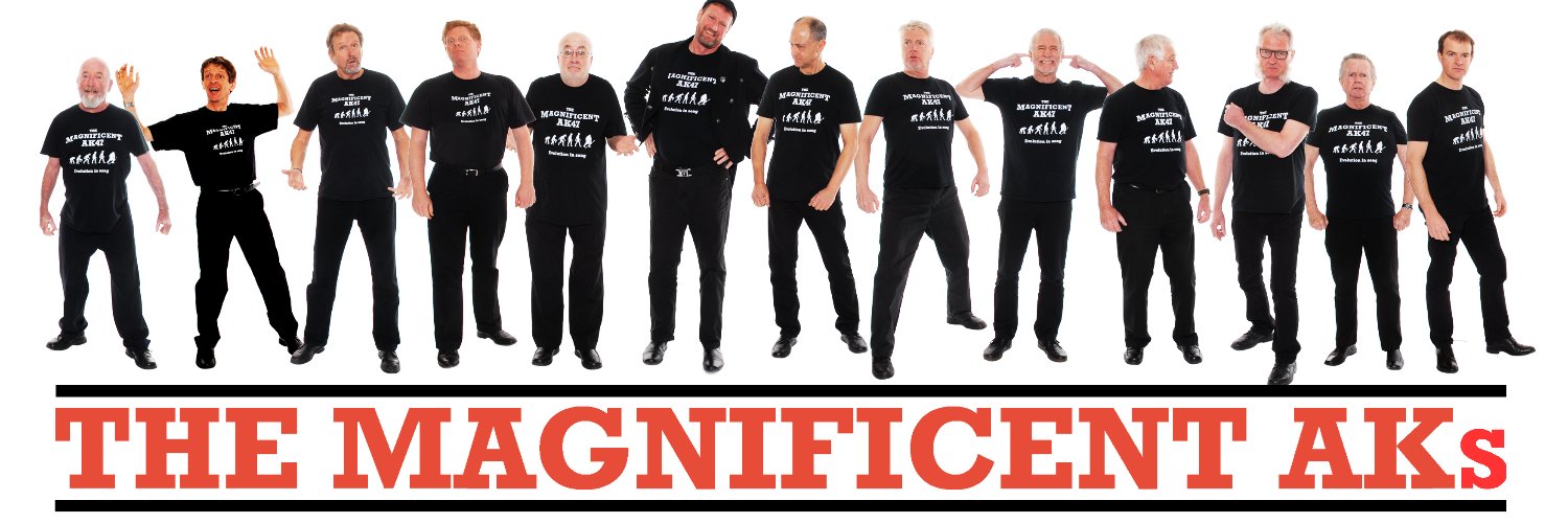 MagnificentAKs's profile banner image
