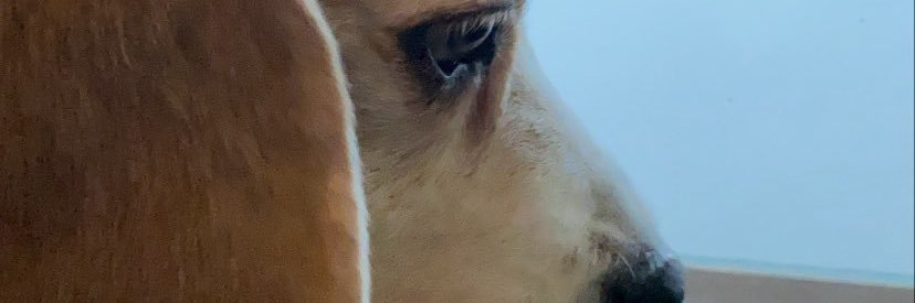Başak 🌾 banner