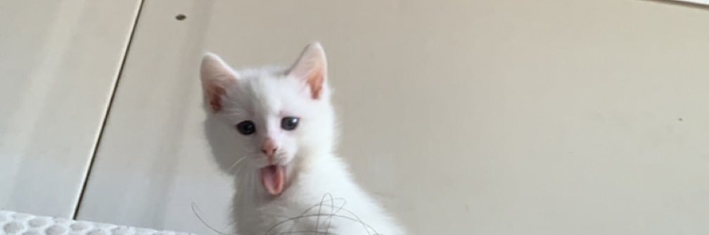 LucyGeragh's profile banner image