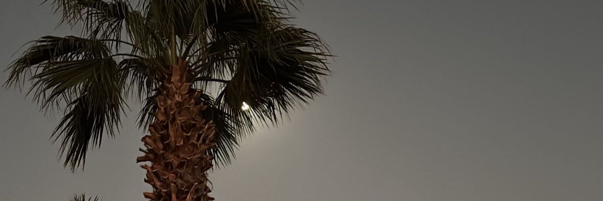 ميار banner