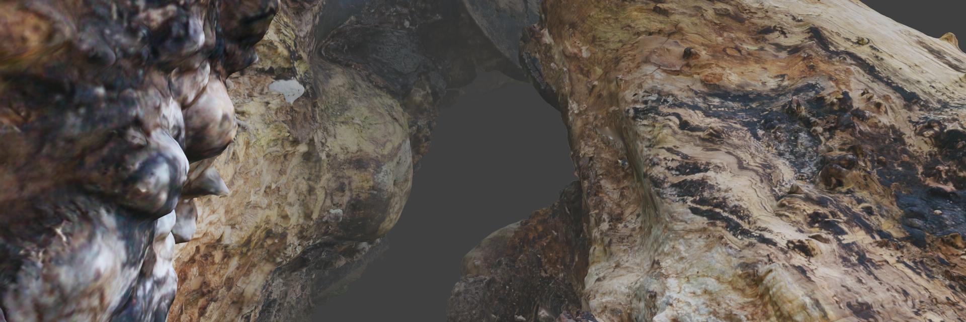 screenreal's profile banner image