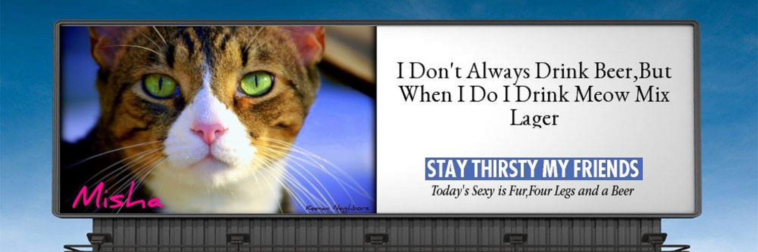 🇺🇦🇺🇦🏴‍☠️Sgt. HIMARS🏴‍☠️🇺🇦🇺🇦(Fella) banner