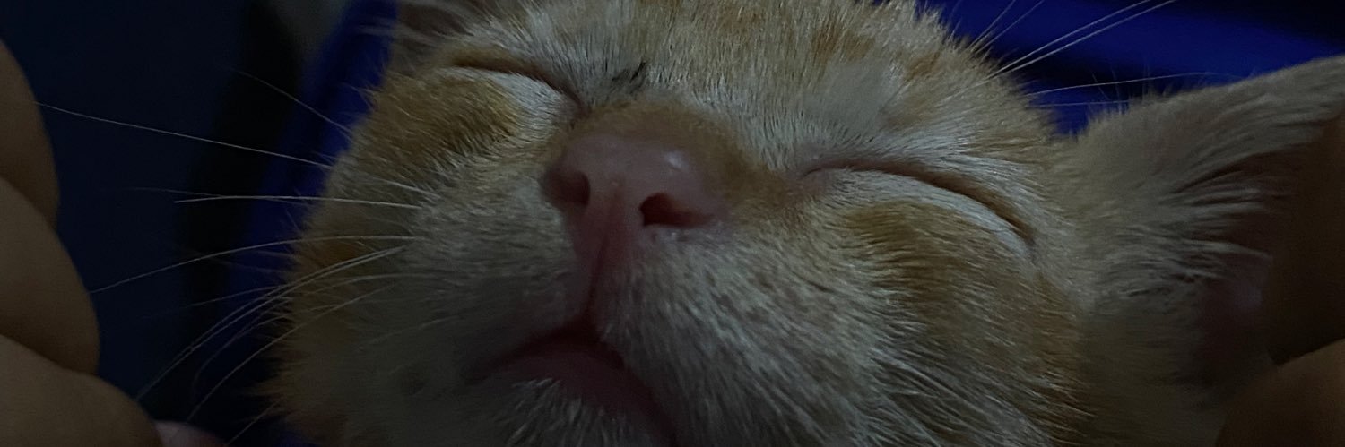 japolavs's profile banner image