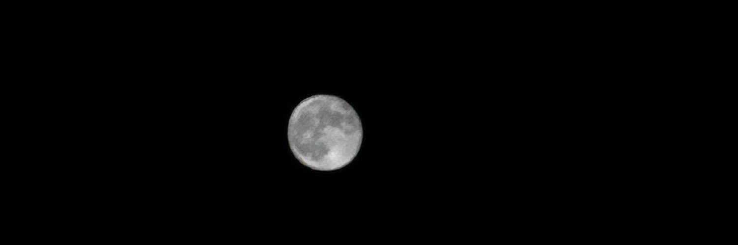 sui440683's profile banner image