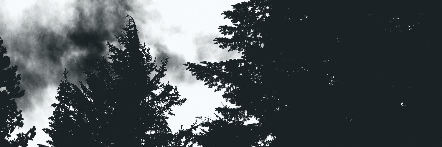 meowboner's profile banner image