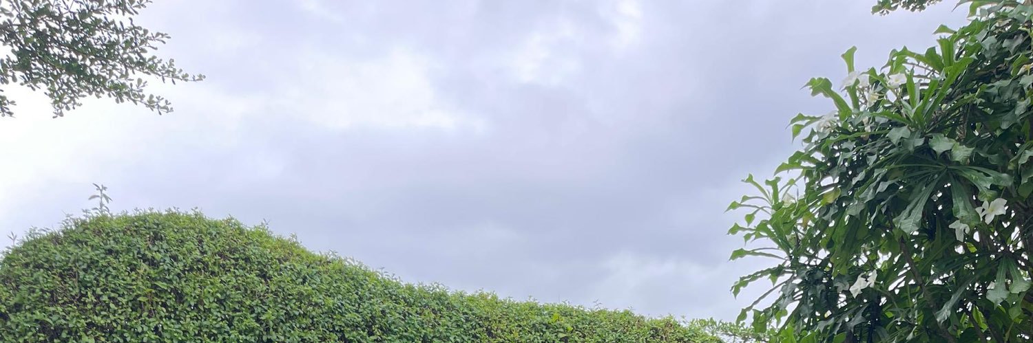 Ceey_nan's profile banner image