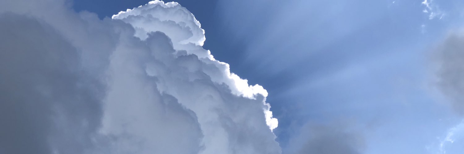 Samdebs's profile banner image