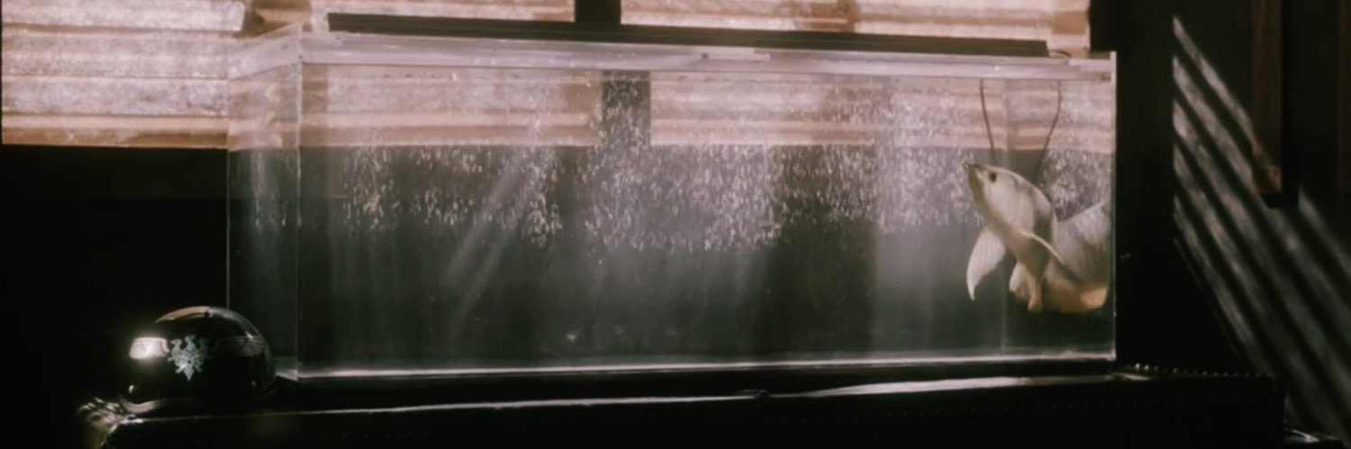 redrainbond's profile banner image