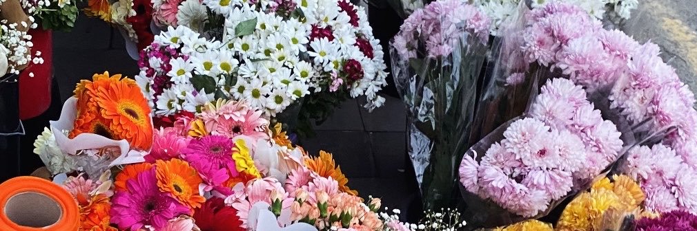 eylemttl's profile banner image