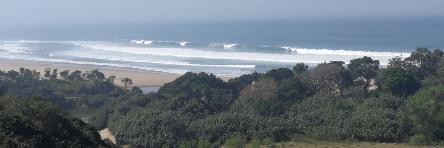 mpilo01's profile banner image