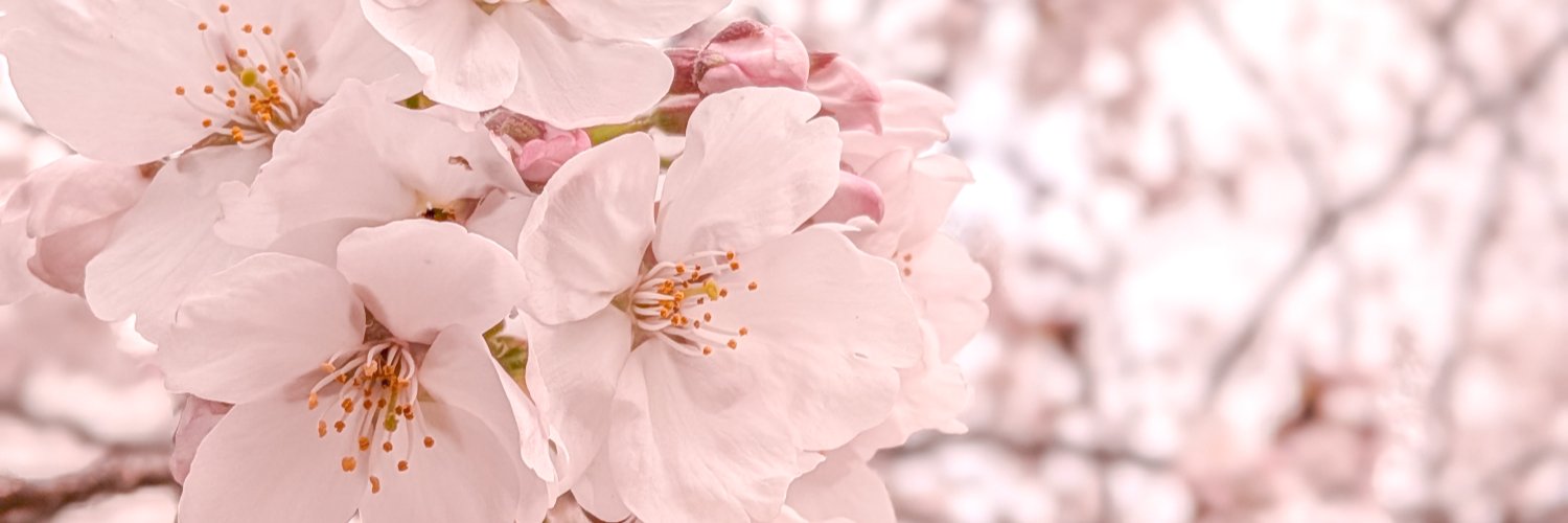 よんじょー banner