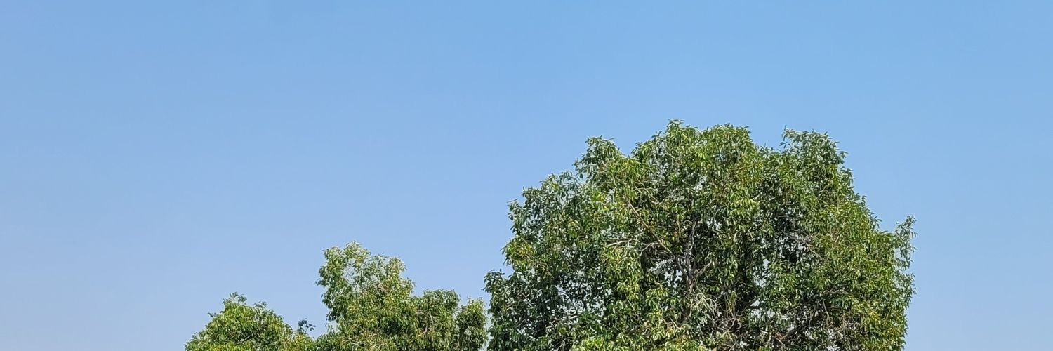 TAWAT1603's profile banner image