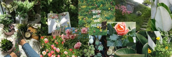 -`cindy𓍢ִ໋🦢˚ banner