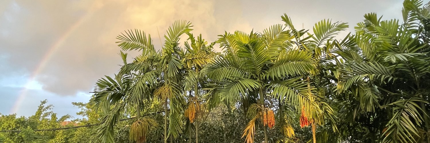 ASSUAD511881's profile banner image