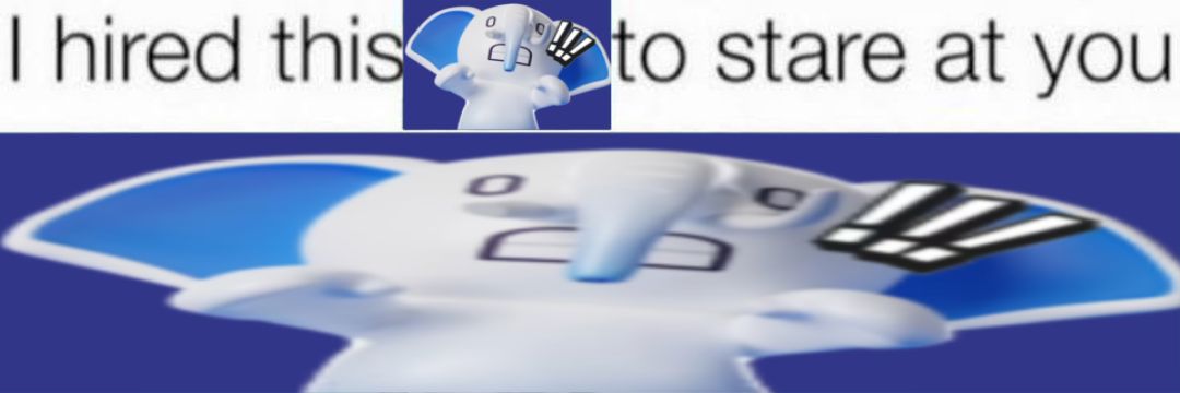 ali'²⁶ banner