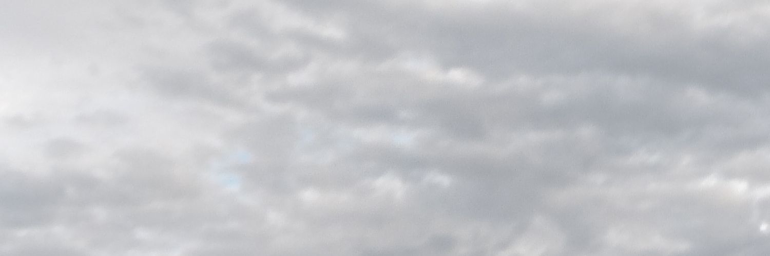 DettolZippo's profile banner image
