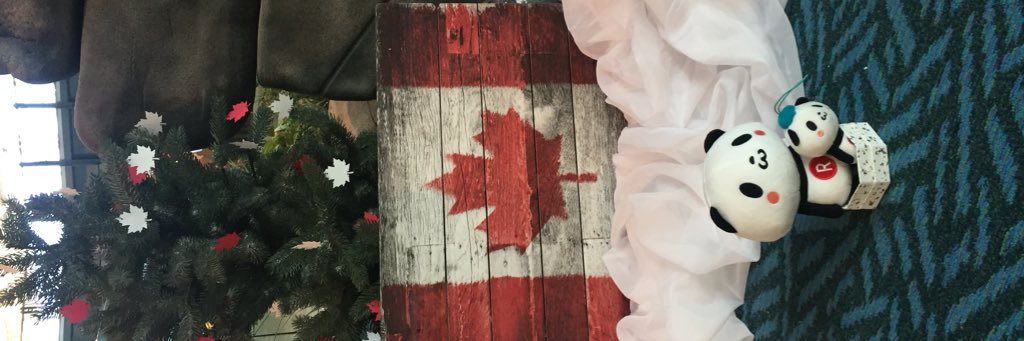 ShurilovesSP's profile banner image