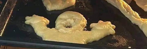 Slsa_Lea Profile Banner