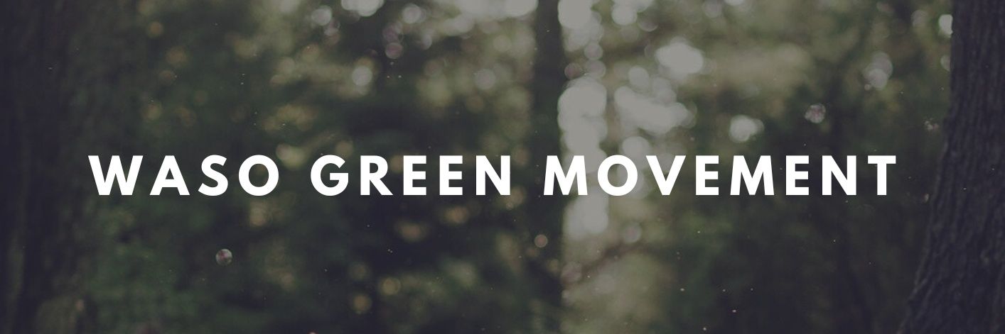 wasogreen24's profile banner image