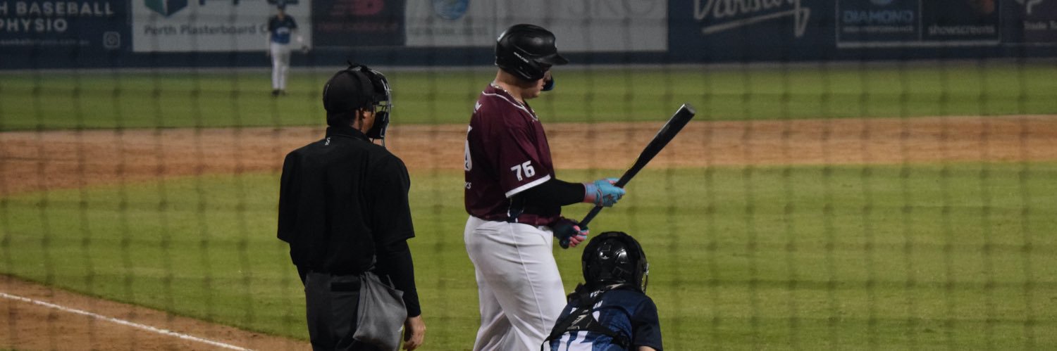 Brooklyn Delamare banner