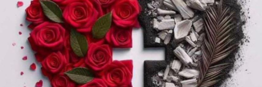 Nde_Lum's profile banner image