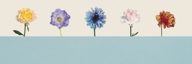 anjelo__010's profile banner image