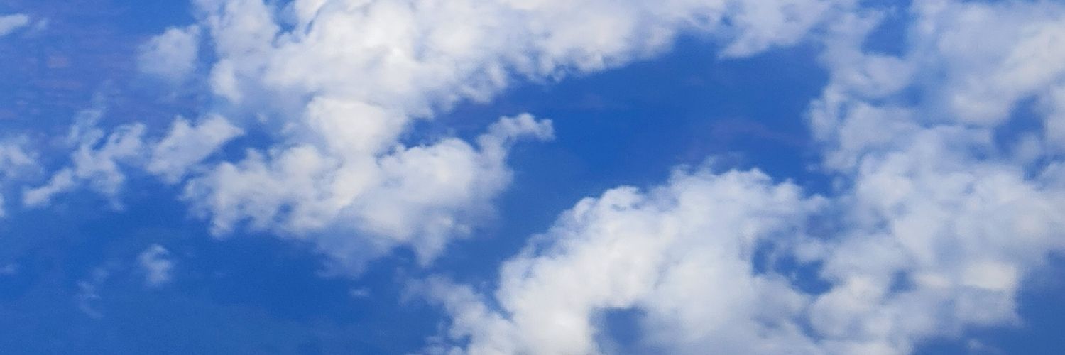 cewetaurus1313's profile banner image