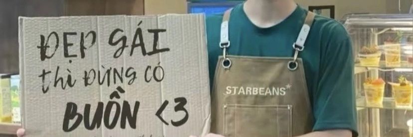 Koala banner